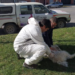 Detectaron un murciélago rabioso en Moreno al 500 y vacunan a mascotas en El Agropecuario