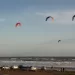 La costa pasó por todos los climas y Bomberos intervinieron tras caída de una planta
