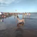 Un mar pero de gente: masiva concurrencia a la playa y advertencias por el uso del agua y la electricidad