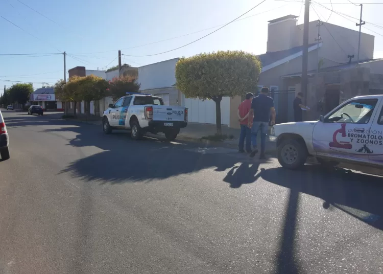 Secuestraron cinco perros de una vivienda en Plaza del Árbol