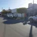 Secuestraron cinco perros de una vivienda en Plaza del Árbol