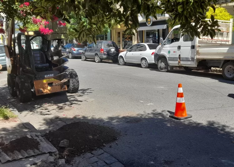 Comienzan la obra de recambio de luminarias y cierran calles