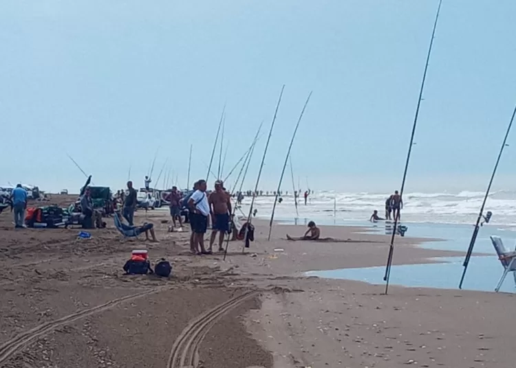 Afirman que los bancos de almejas se estarían recuperando en la costa local