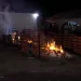 Con la lluvia como recuerdo, el predio triguero vivió una noche esplendorosa