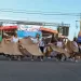 Quedó inaugurada la 54º Fiesta Provincial del Trigo