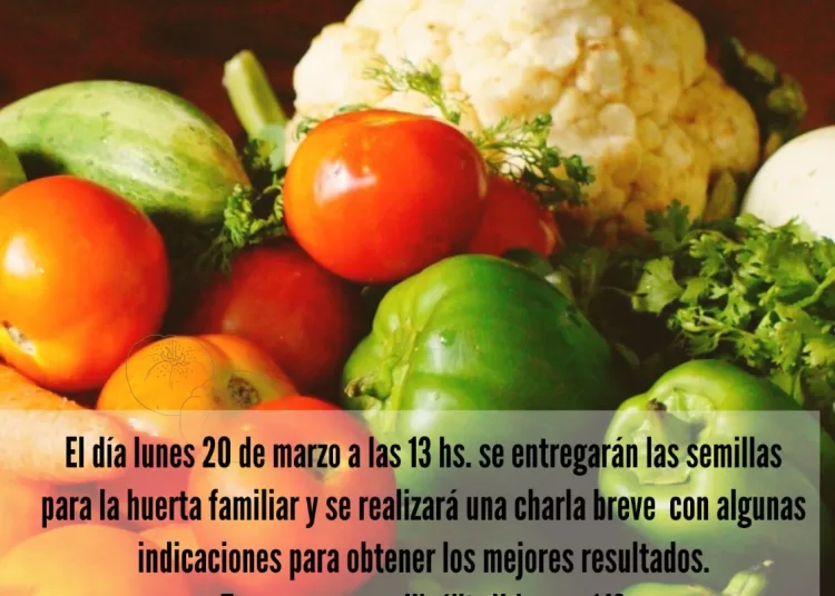 Empleados de Comercio entregará kits de semillas del ProHuerta