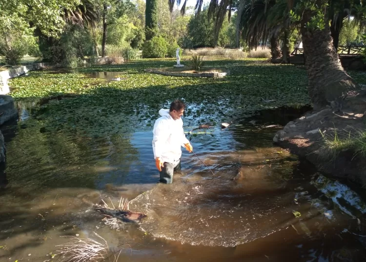 Cambian horario de ingreso al Parque Cabañas