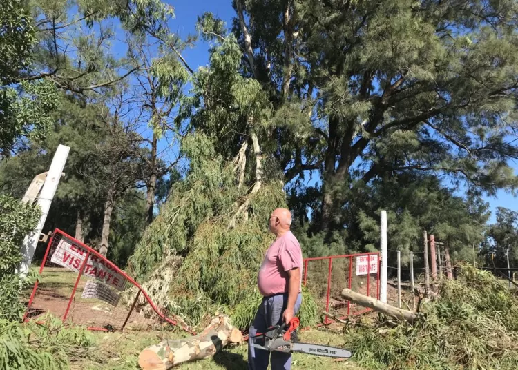 Secuelas del temporal: Quilmes también sufrió destrozos en su predio