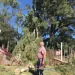 Secuelas del temporal: Quilmes también sufrió destrozos en su predio