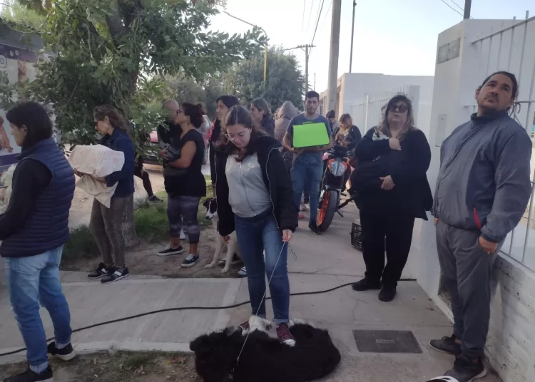 Hubo cola en el Villa Italia por la reanudación de las castraciones móviles