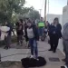 Hubo cola en el Villa Italia por la reanudación de las castraciones móviles