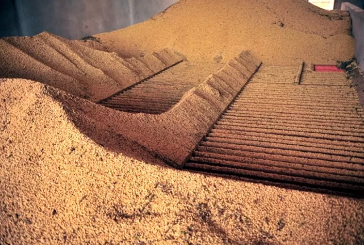 La sequía y el calor condicionan los rendimientos agrícolas