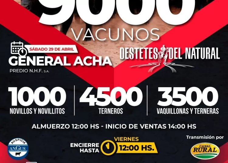 Néstor Hugo Fuentes S.A. rematará 9 mil vacunos en General Acha