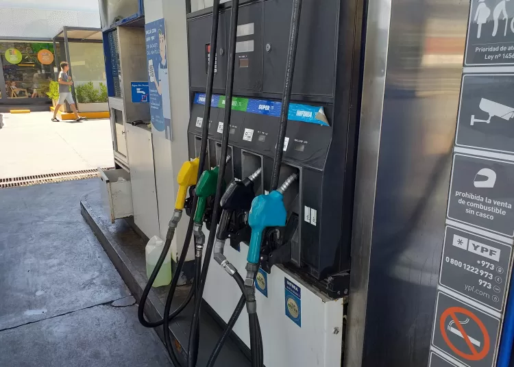 Demoraron a cinco galgueros que cazaban furtivamente en campos chavenses