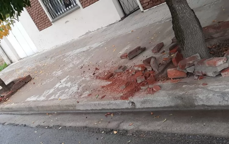 ¿Accidente o vandalismo?: arrancó dos canteros a la vuelta de Seguridad y se fugó