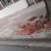 ¿Accidente o vandalismo?: arrancó dos canteros a la vuelta de Seguridad y se fugó