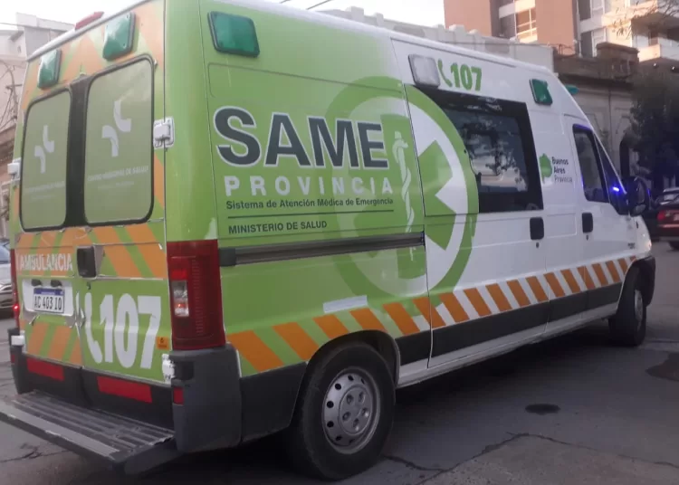 Atropelló a un perro y sufrió heridas en el rostro