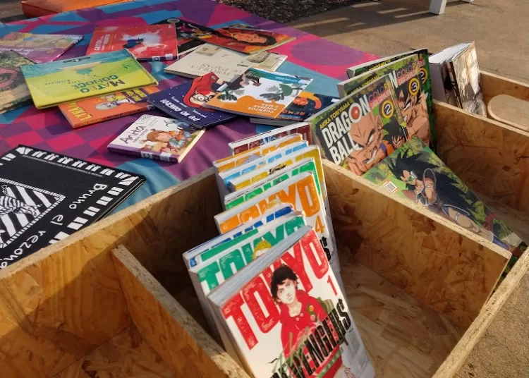 La José Ingenieros convoca a taller de fanzine, bibliomóvil y manga