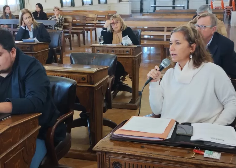 Sillas, licencias y cruces de baja intensidad en el Concejo Deliberante