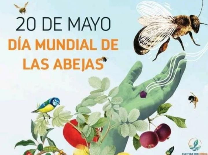 Se celebra el día mundial de la abeja