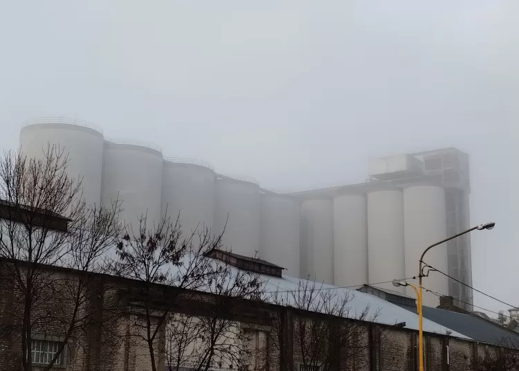Por neblina, advierten que se reducirá notablemente la visibilidad