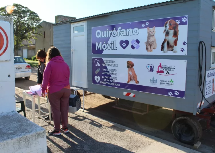 Móvil quirúrgico para castraciones tendrá nueva ubicación la próxima semana.