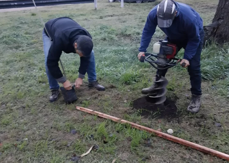 Plantación de nueve fresnos en la Cabina Sanitaria de Tres Arroyos