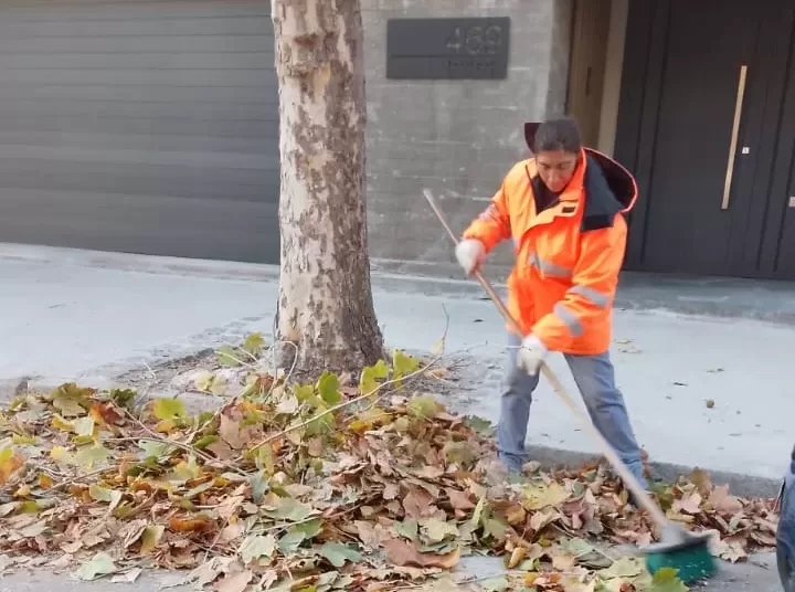 Barrido manual y recolección de puntos limpios en la ciudad
