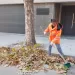 Barrido manual y recolección de puntos limpios en la ciudad