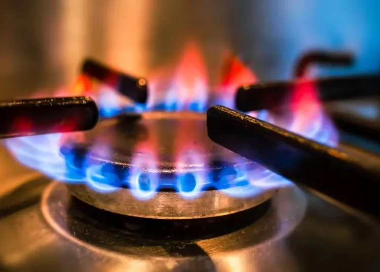 Cuáles son los síntomas y cómo se previene la intoxicación ante un escape de gas