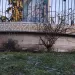 El frío y la helada llegaron para quedarse: en la Chacra de Barrow registraron -3,8°