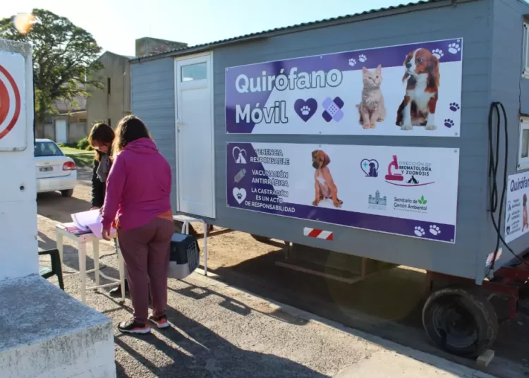 Castraciones de canes y felinos: Fechas y ubicación del móvil quirúrgico
