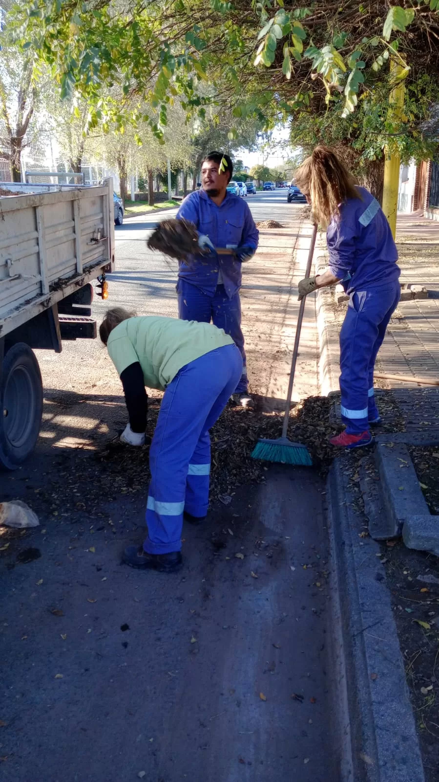 Acciones de limpieza y mantenimiento en distintas áreas de la ciudad ...