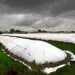 De La Niña a El Niño: más lluvias y menos frío, las variables para el invierno en la región