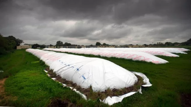 De La Niña a El Niño: más lluvias y menos frío, las variables para el invierno en la región