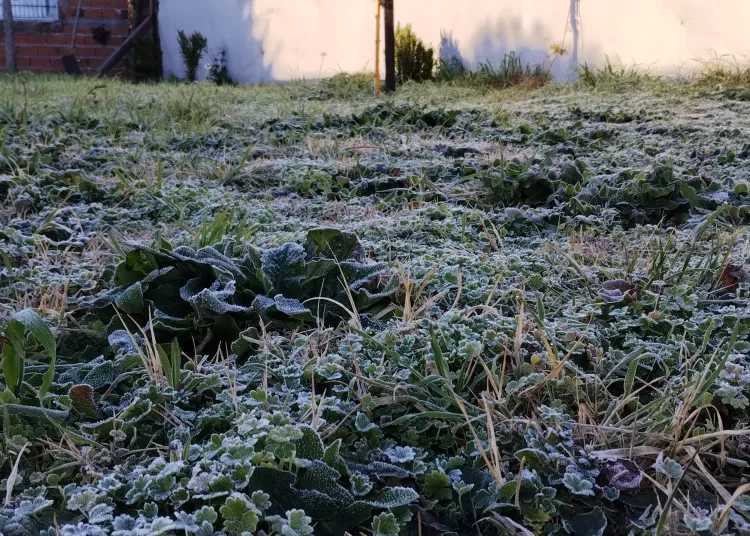 Esperan temperaturas por debajo del cero en el arranque de la semana