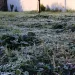 Esperan temperaturas por debajo del cero en el arranque de la semana