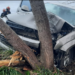 Bellocq: se despistó, terminó incrustado contra un árbol y fue trasladado en ambulancia