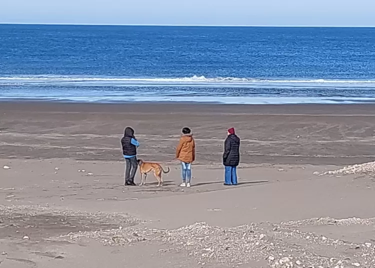 Sol y clima agradable en la costa tresarroyense: a la noche se esperan fuertes vientos