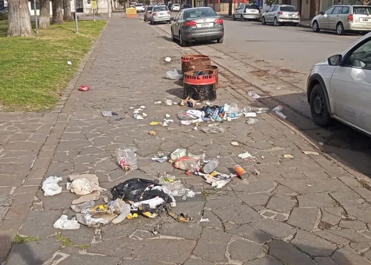 Piden no utilizar los tarros de basura de las plazas para residuos domiciliarios