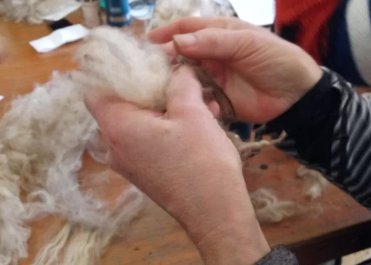 Taller de Hilado de Lana y Arte Textil en Copetonas