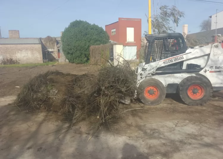 Coordinación de Higiene Urbana realizó el cronograma semanal previsto