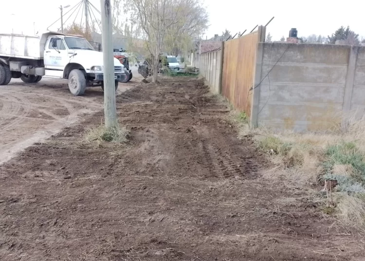 Cumplimiento del barrido manual previsto en el cronograma semanal