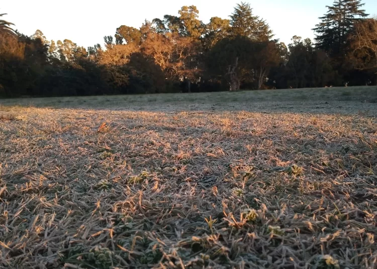 Se terminó la «miniprimavera», Tres Arroyos es la quinta ciudad más fría del país y el termómetro llegó a -4°