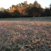 Se terminó la «miniprimavera», Tres Arroyos es la quinta ciudad más fría del país y el termómetro llegó a -4°