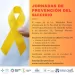 Jornada de prevencion del suicidio en CRESTA