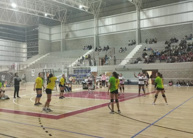 Las inferiores de la Liga de Voley concentran la acción en el Polideportivo