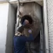 Detectaron triquinosis en una muestra de cerdo y debieron faenar 75 animales