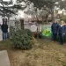 Colegio Holandés se une a 2º Corazón Solidario en Acción