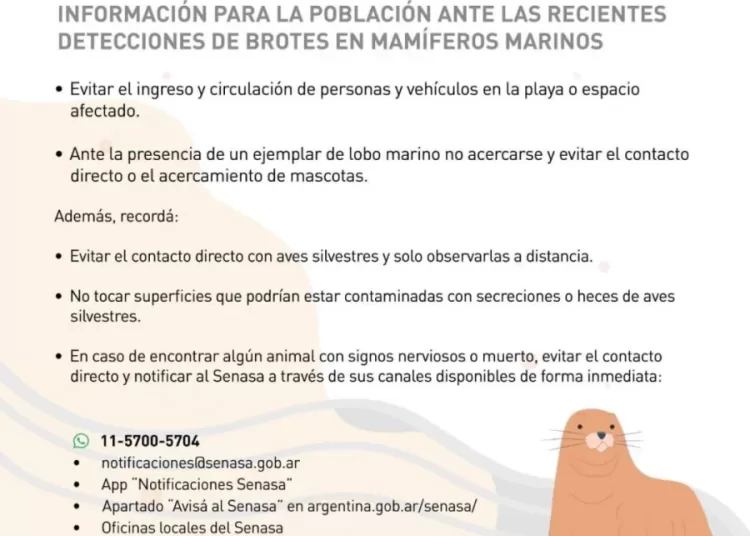 Se confirmó el resultado positivo de la influenza aviar
